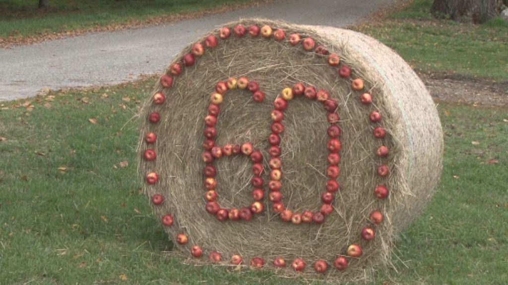 60 let Biotehniške šole Ptuj