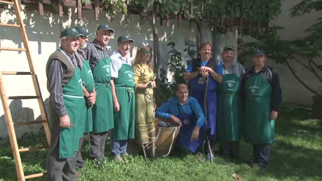 Tradicionalna trgtev modre kavčine – žametne črnine