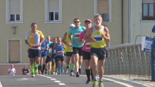 24. Ptujski mali maraton