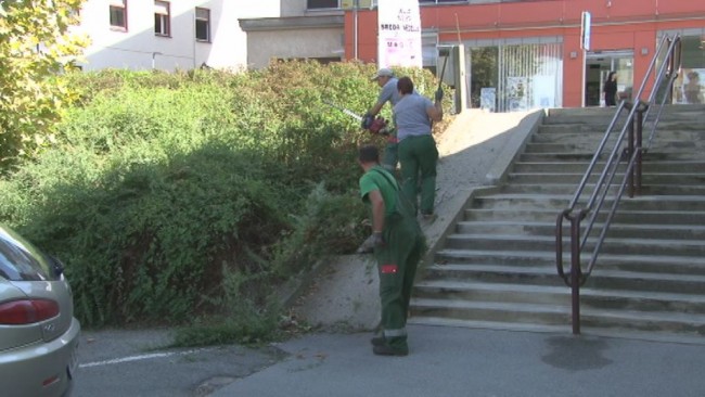 Urejanje in ciscenje okolice