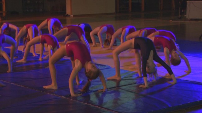 Gimnasticna predstavitev 2015
