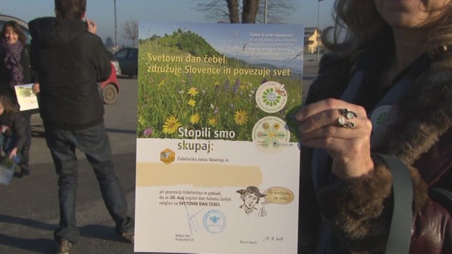 Svetovni dan cebel