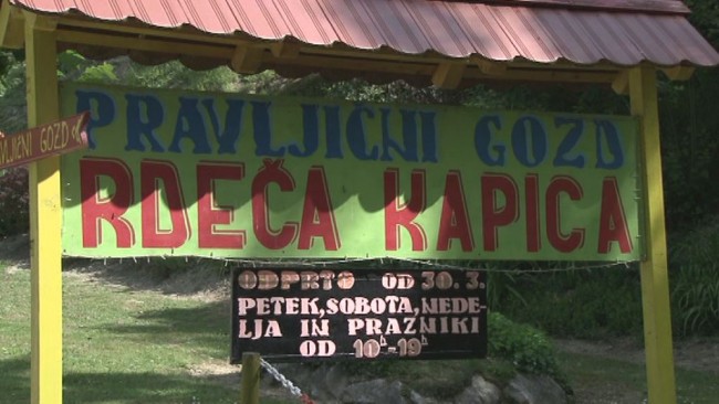 V Mohorkovi grabi pravljični gozd Rdeča kapica