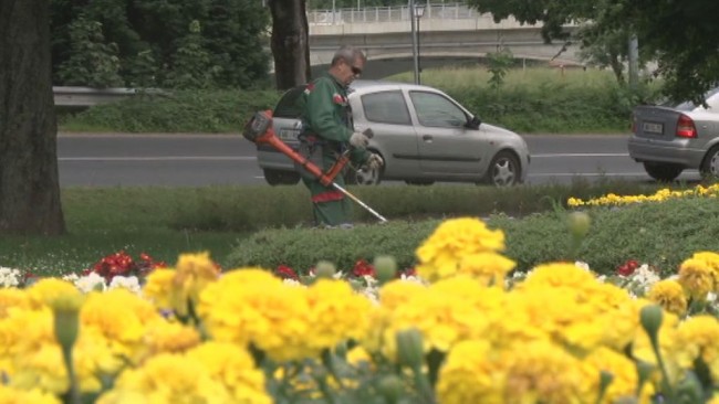 Urejanje javnih površin