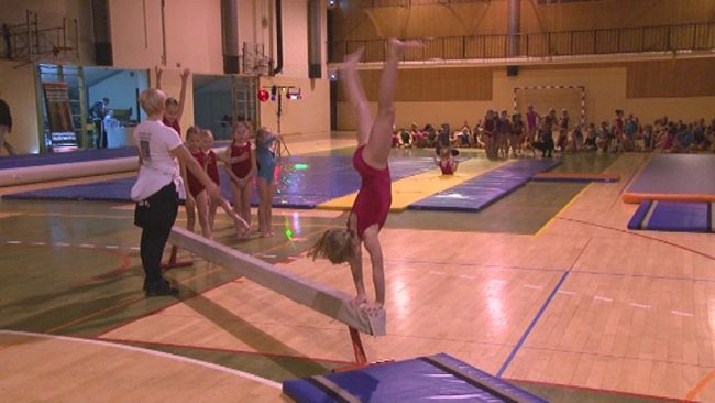 Božično-novoletni gimnastični nastop