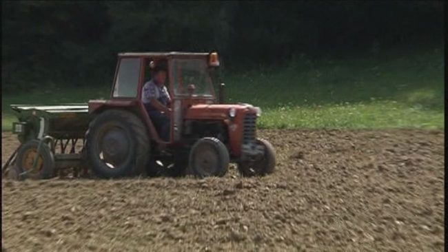 Pozeba in suša zaznamovali kmetijsko leto