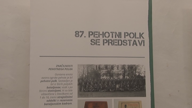 Celjski 87. pehotni polk