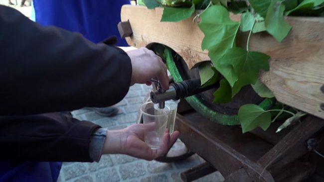 Tradicionalno Martinovanje na Ptuju