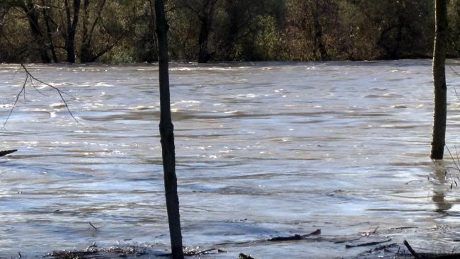 Poplavljanje reke Drave