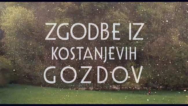 Zgodbe iz kostanjevih gozdov