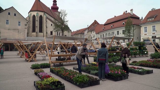 Pobuda za ustanovitev komisije za revizijo del pri obnovi tržnice