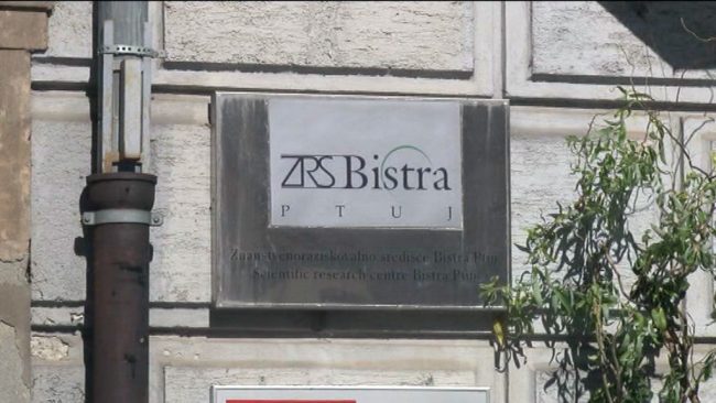 Novi projekti ZRS Bistre Ptuj