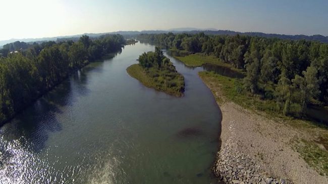 Projekt Drava – Natura 2000