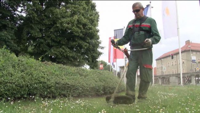 Med najboljšimi zaposlovalci Podravja Javne službe Ptuj