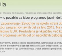 Programi javnih del za leto 2013