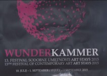 Kabinet čudes na 13. festivalu sodobne umetnosti Art Stays