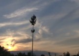 Ptujska kronika, sreda 4. maj 2016