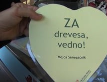 Ptujska kronika, sreda 27. september 2017