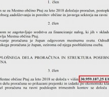 Proračun bo znašal malo manj kot 31 MIO evrov