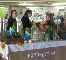 Ptujska kronika, sreda 31. oktober 2018