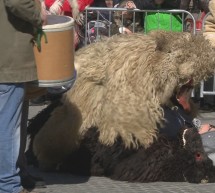 Ptujska kronika, petek 14. februar 2020