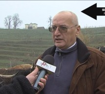 Pogled nazaj 236. oddaja