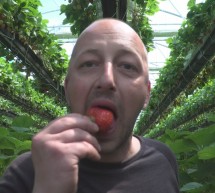 Ptujska kronika, sreda 16. junij 2021