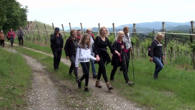 29. tradicionalni pohod po Haloški planinski poti