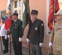 Ptujska kronika, sreda 11. avgust 2021