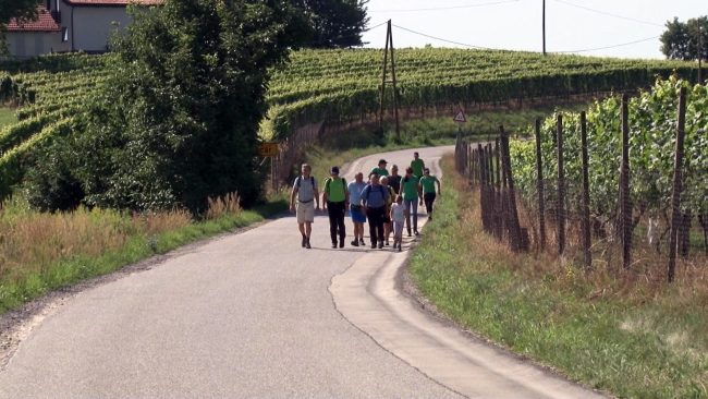 Tradicionalni pohod na najvišji vrh Mestne občine Ptuj