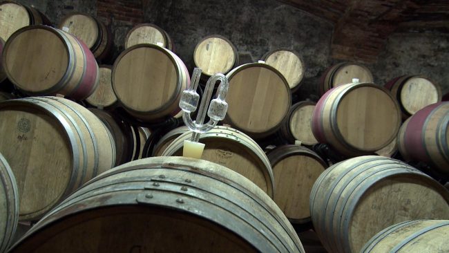 Družba Pullus wine je kupila Ptujsko klet