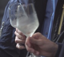Portal: Salon Sauvignon 2022