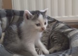 Pregled tedna, sobota 23. julij 2022