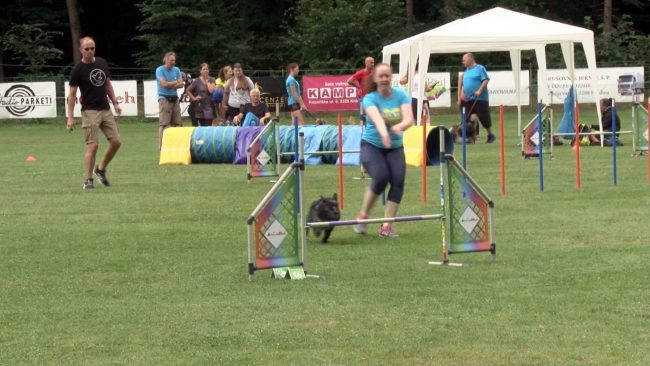 Slovenian Agility Open