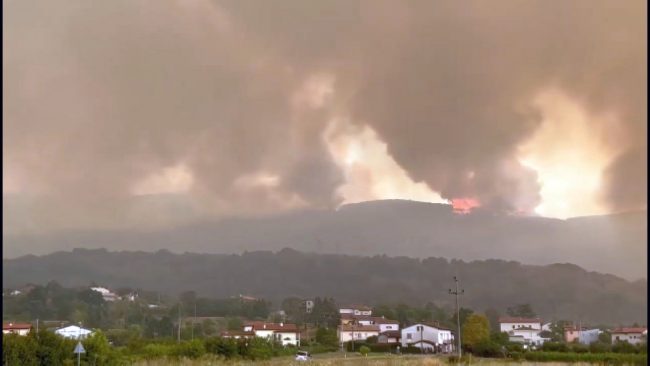46 ptujskih gasilcev je sodelovalo pri gašenju požara na Krasu