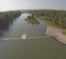 Ptujska kronika, petek 16. september 2022