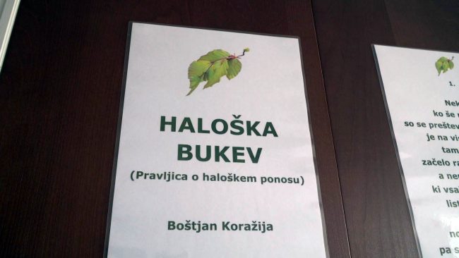 Pravljica Haloška bukev