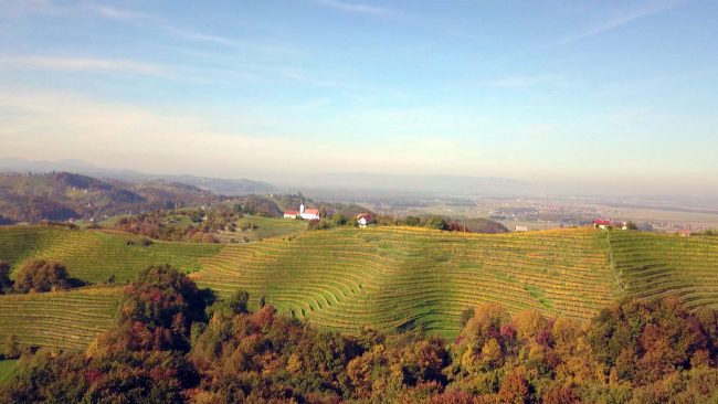 14. Seja Sveta Območne enote KGZS Ptuj