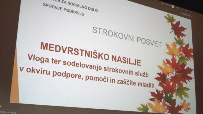 Strokovni posvet z naslovom Medvrstniško nasilje