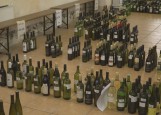 Pregled tedna, sobota 4. maj 2024