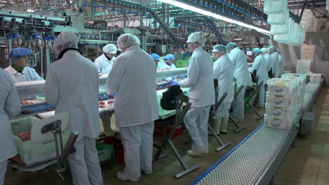 Perutnina Ptuj s 574 milijoni evrov prihodkov