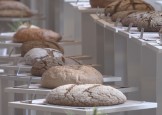 PORTAL: 36. Festival Dobrote slovenskih kmetij