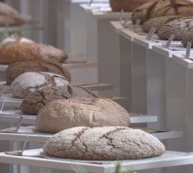 PORTAL: 36. Festival Dobrote slovenskih kmetij