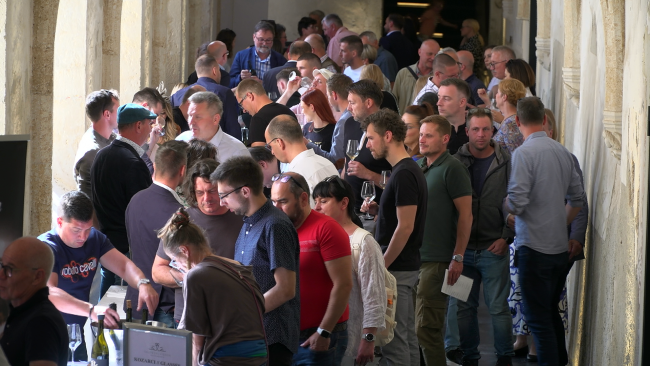 V soboto bo na Ptuju Salon Sauvignon 2025