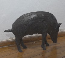 Ptujska kronika, petek 19. september 2025