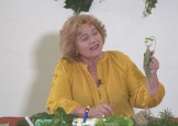 Otroški kotiček 22. oddaja