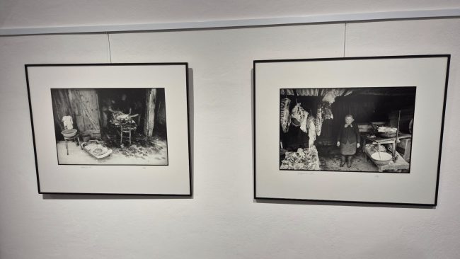 Razstava Stojana Kerblerja v Galeriji Luna