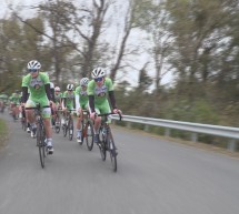 Ptujska kronika, sreda 5. november 2025