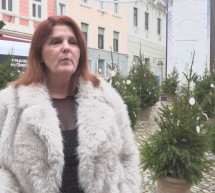 Minuta za Mestni svet: Sonja Žibrat