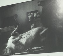 Čista umetnost – december 2025